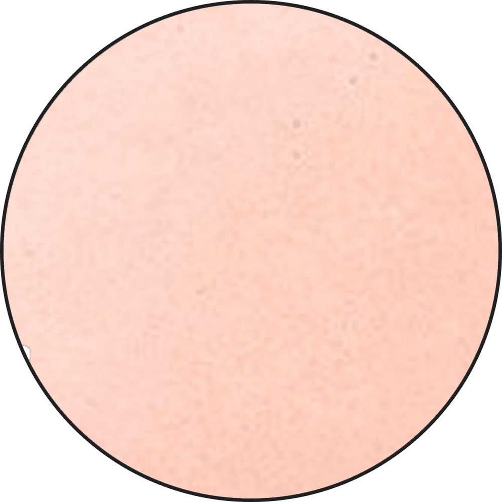 Embossing Powders Blush Pearl Powders Ranger Ink 