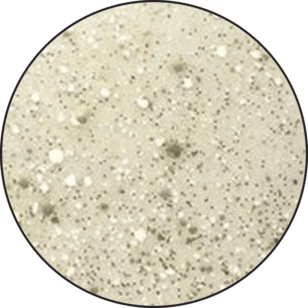 Embossing Speckle Powder Flurries, 1oz Powders Ranger Ink 